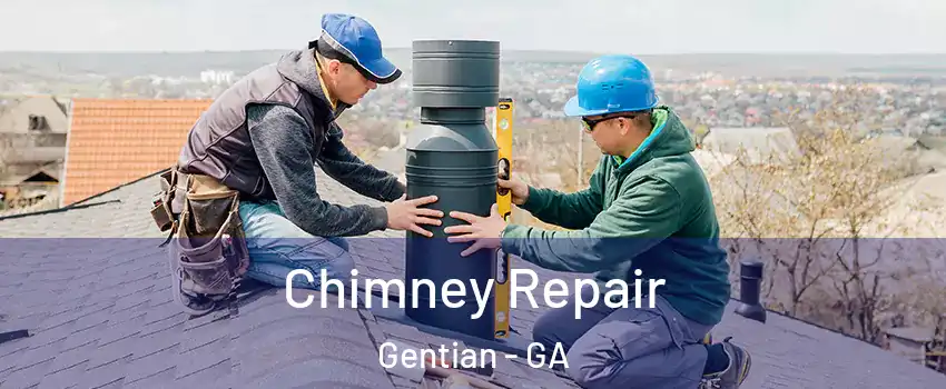 Chimney Repair Gentian - GA