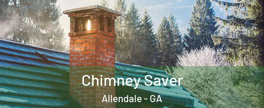 Chimney Saver Allendale - GA