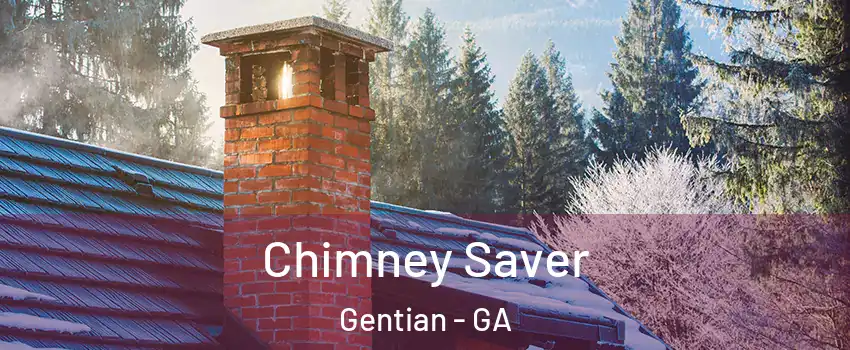 Chimney Saver Gentian - GA