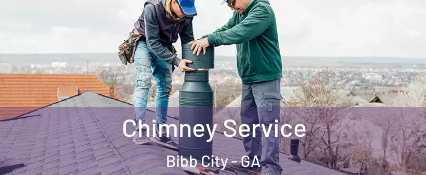 Chimney Service Bibb City - GA