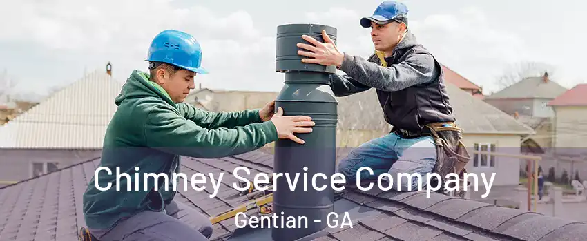 Chimney Service Company Gentian - GA