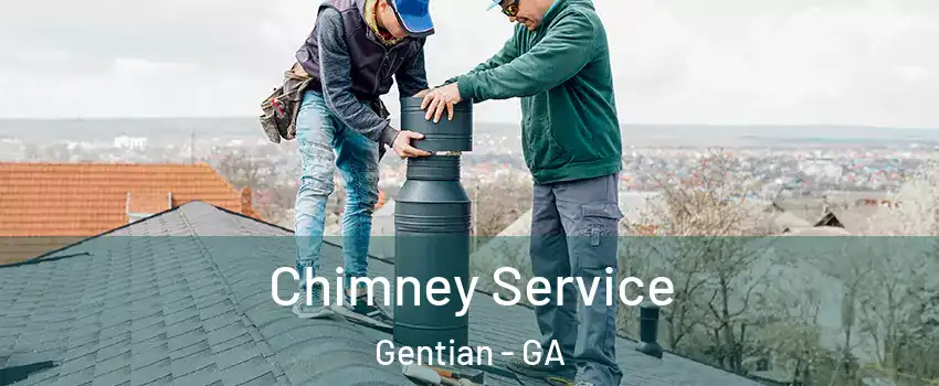 Chimney Service Gentian - GA