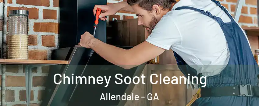 Chimney Soot Cleaning Allendale - GA