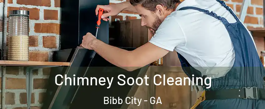 Chimney Soot Cleaning Bibb City - GA