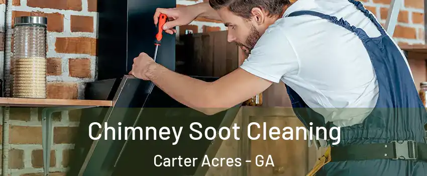 Chimney Soot Cleaning Carter Acres - GA