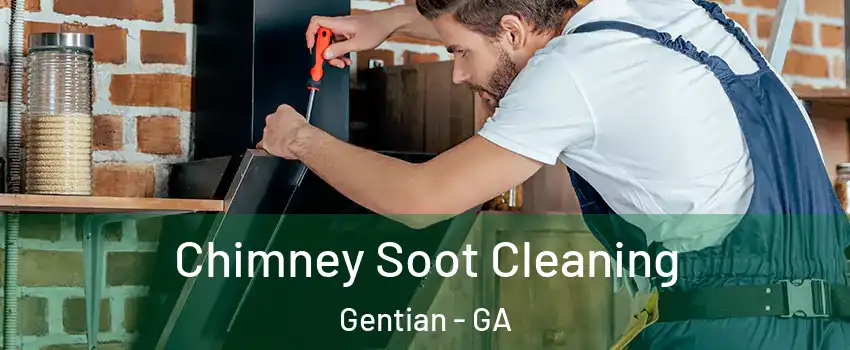 Chimney Soot Cleaning Gentian - GA