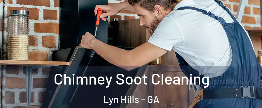 Chimney Soot Cleaning Lyn Hills - GA
