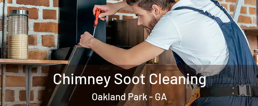 Chimney Soot Cleaning Oakland Park - GA
