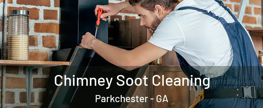 Chimney Soot Cleaning Parkchester - GA