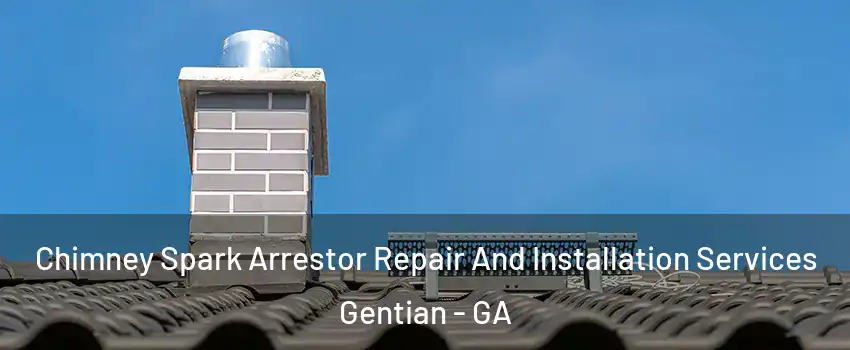 Chimney Spark Arrestor Repair And Installation Services Gentian - GA