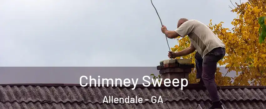Chimney Sweep Allendale - GA