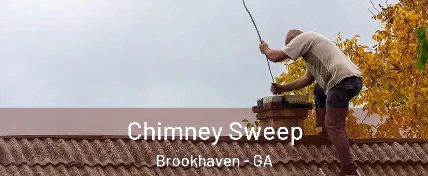 Chimney Sweep Brookhaven - GA