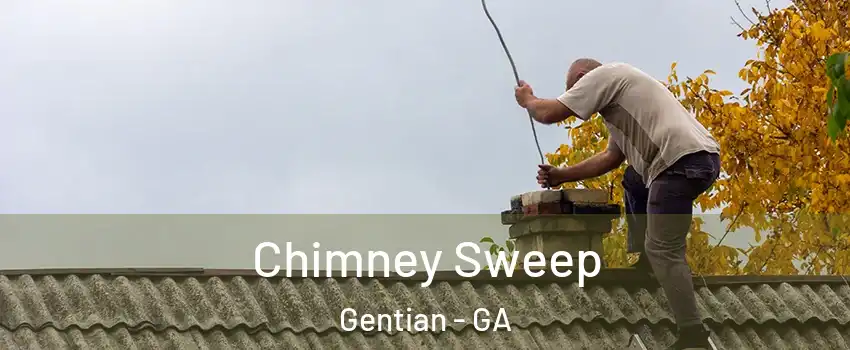 Chimney Sweep Gentian - GA