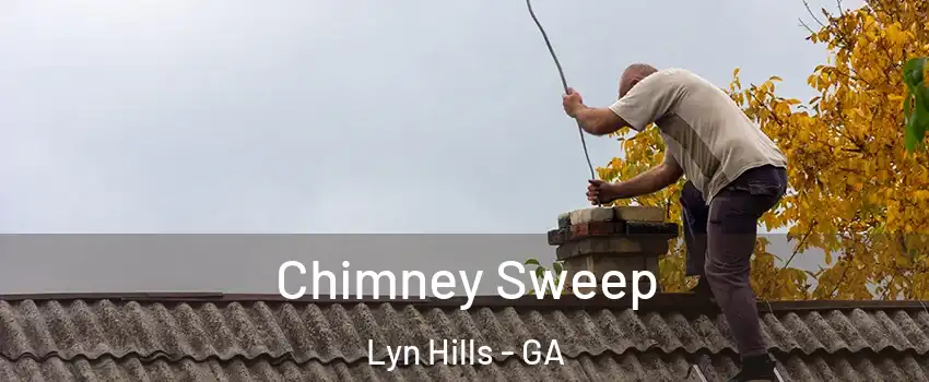 Chimney Sweep Lyn Hills - GA