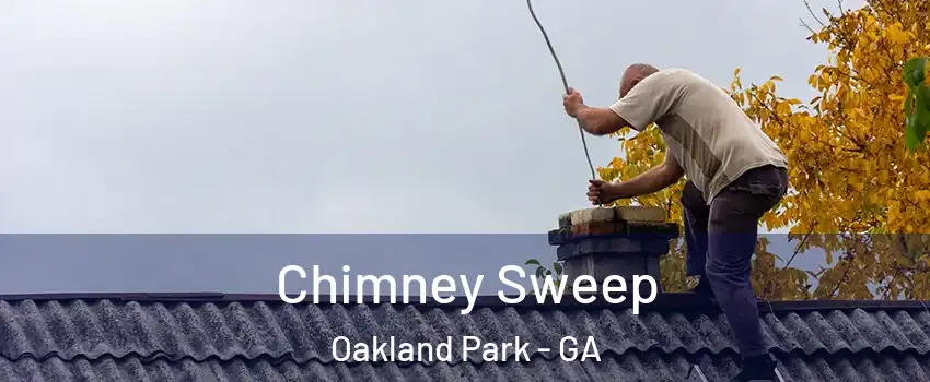 Chimney Sweep Oakland Park - GA