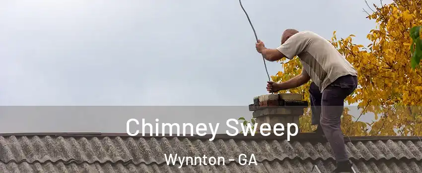 Chimney Sweep Wynnton - GA