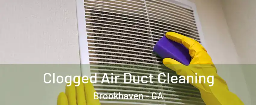 Clogged Air Duct Cleaning Brookhaven - GA
