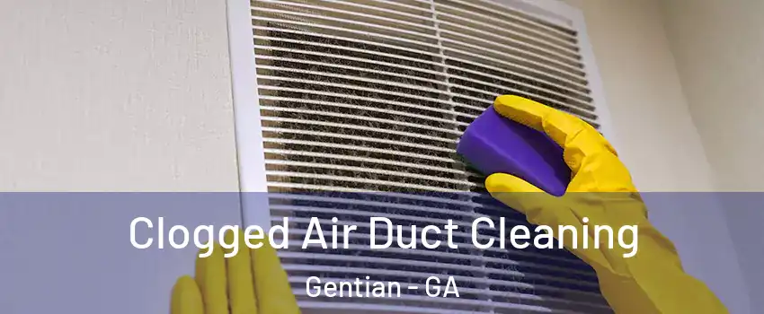 Clogged Air Duct Cleaning Gentian - GA