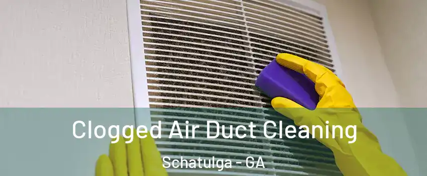 Clogged Air Duct Cleaning Schatulga - GA