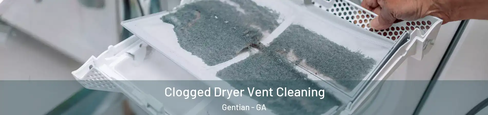 Clogged Dryer Vent Cleaning Gentian - GA