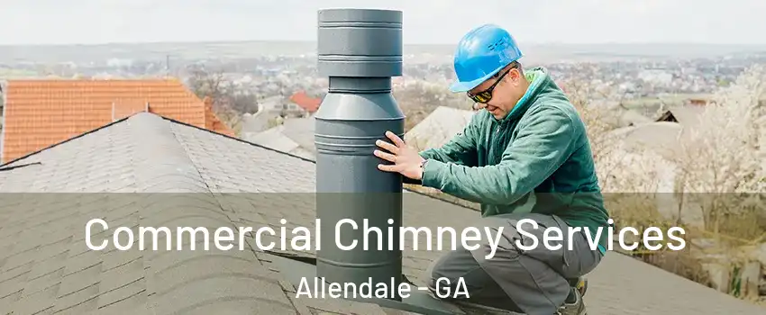 Commercial Chimney Services Allendale - GA