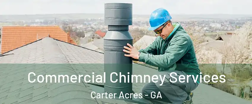 Commercial Chimney Services Carter Acres - GA
