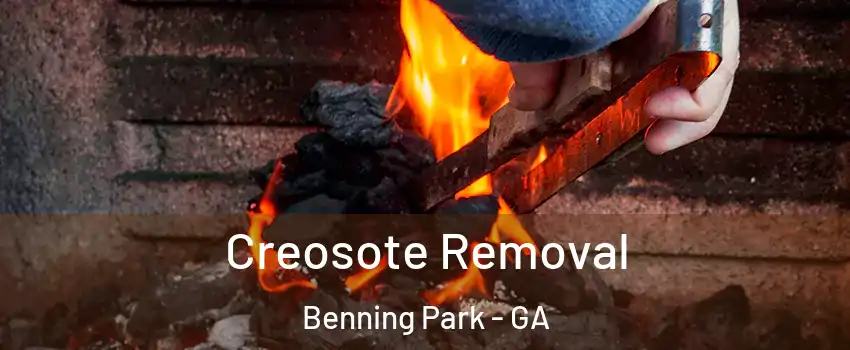 Creosote Removal Benning Park - GA