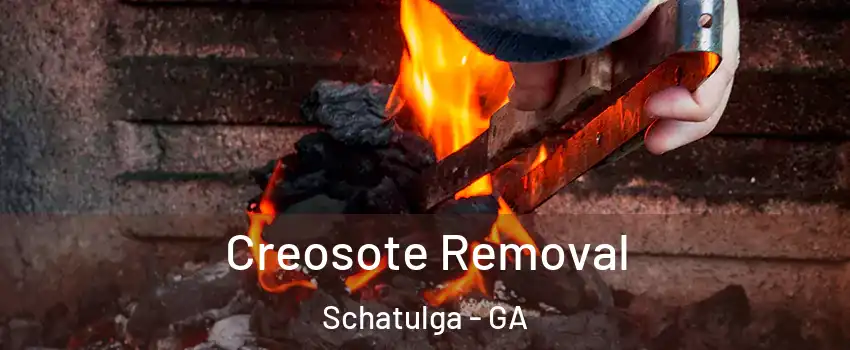 Creosote Removal Schatulga - GA