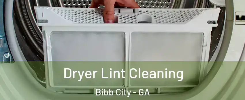 Dryer Lint Cleaning Bibb City - GA