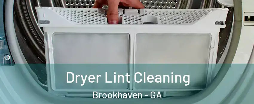 Dryer Lint Cleaning Brookhaven - GA