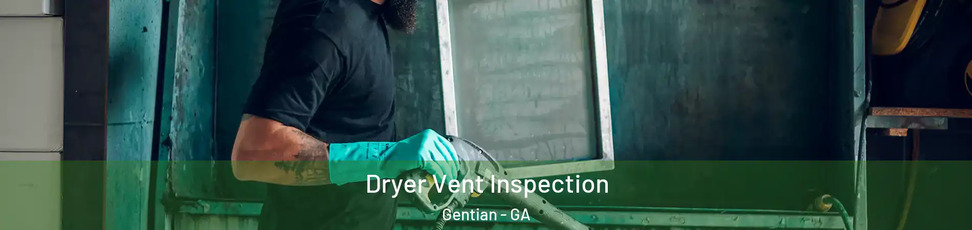 Dryer Vent Inspection Gentian - GA