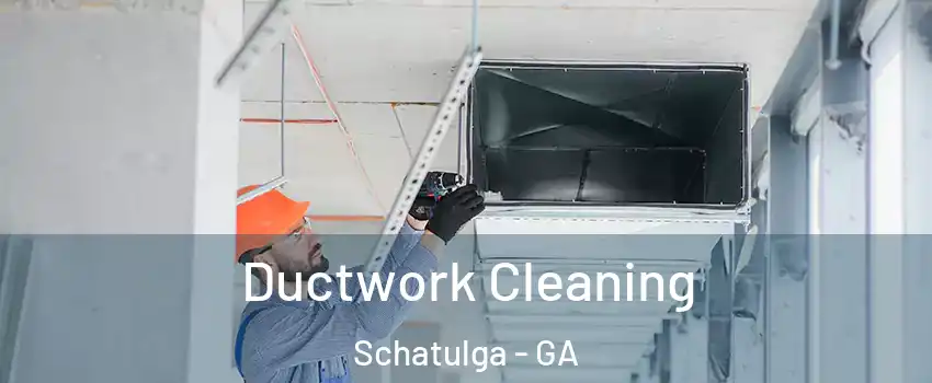 Ductwork Cleaning Schatulga - GA