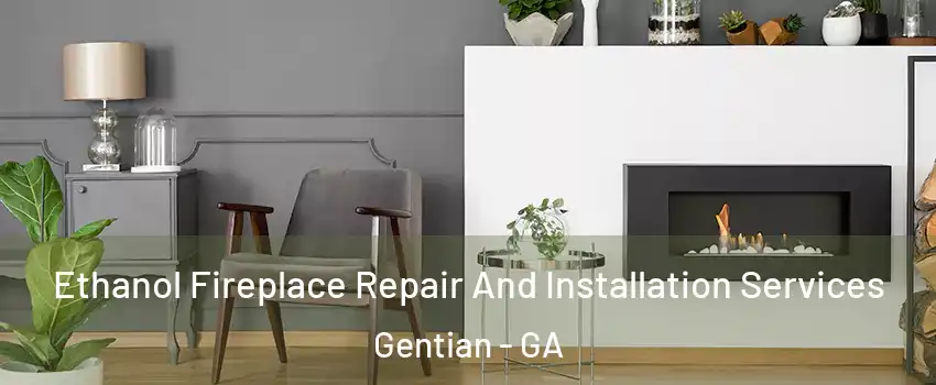 Ethanol Fireplace Repair And Installation Services Gentian - GA