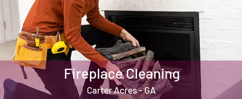 Fireplace Cleaning Carter Acres - GA