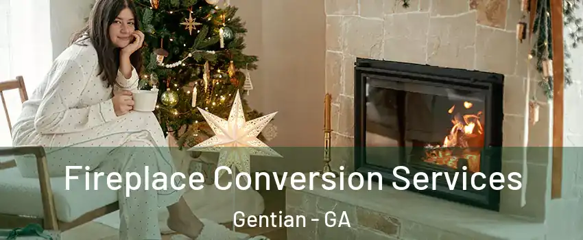 Fireplace Conversion Services Gentian - GA