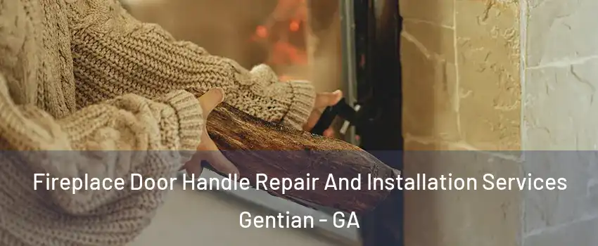Fireplace Door Handle Repair And Installation Services Gentian - GA