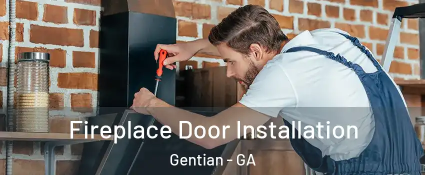Fireplace Door Installation Gentian - GA