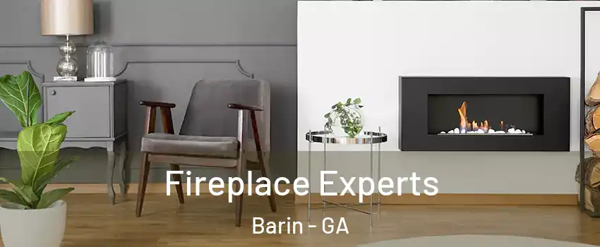 Fireplace Experts Barin - GA