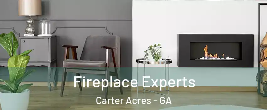 Fireplace Experts Carter Acres - GA