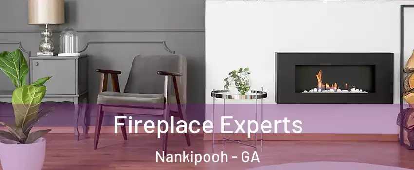 Fireplace Experts Nankipooh - GA