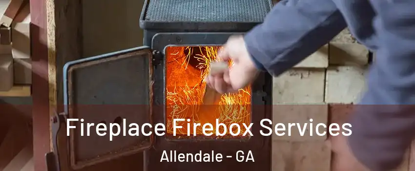 Fireplace Firebox Services Allendale - GA