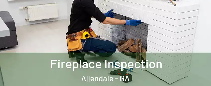 Fireplace Inspection Allendale - GA