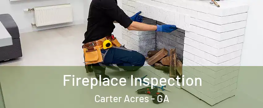 Fireplace Inspection Carter Acres - GA