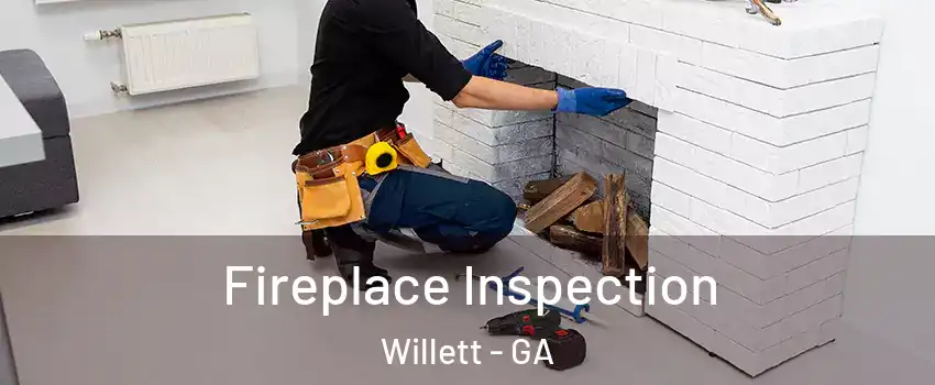 Fireplace Inspection Willett - GA