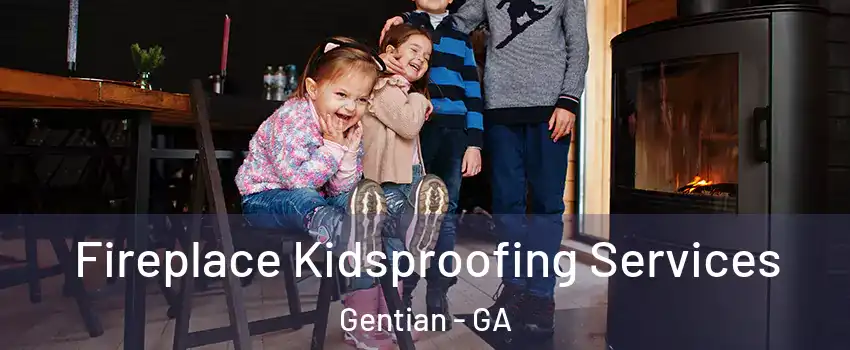 Fireplace Kidsproofing Services Gentian - GA
