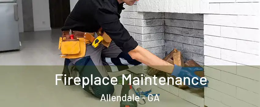 Fireplace Maintenance Allendale - GA