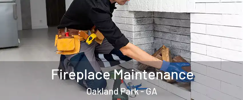 Fireplace Maintenance Oakland Park - GA