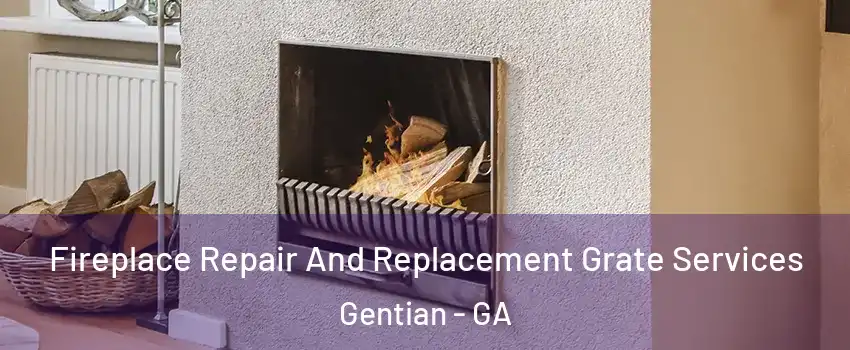 Fireplace Repair And Replacement Grate Services Gentian - GA