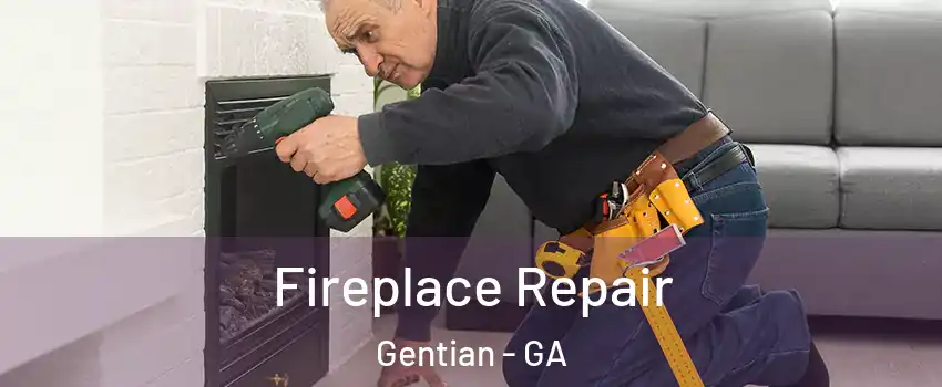 Fireplace Repair Gentian - GA