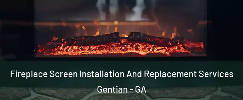 Fireplace Screen Installation And Replacement Services Gentian - GA